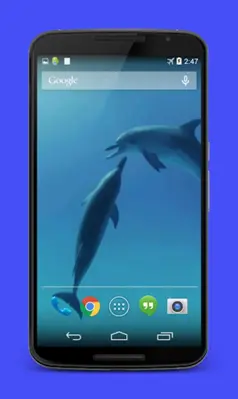 Dolphins Video Live Wallpaper android App screenshot 1