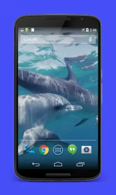 Dolphins Video Live Wallpaper android App screenshot 2